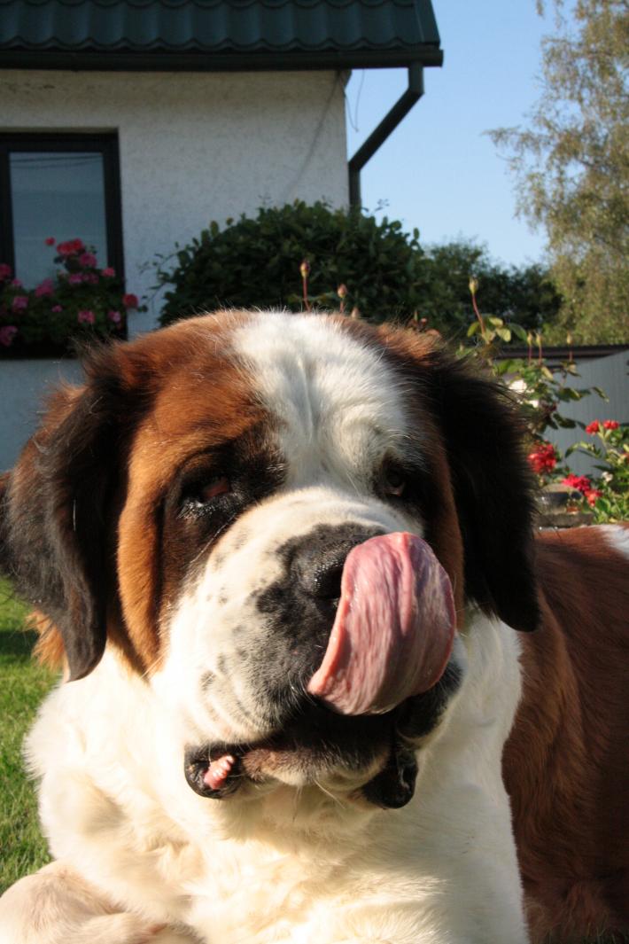 attachment.php?attachmentid=1220&stc=1&d=1343328321