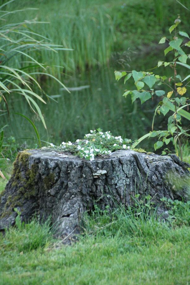 attachment.php?attachmentid=1227&stc=1&d=1343329027