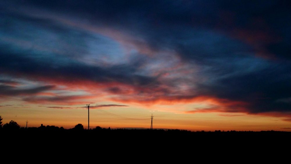 Loojang 15.07 Simuna.jpg