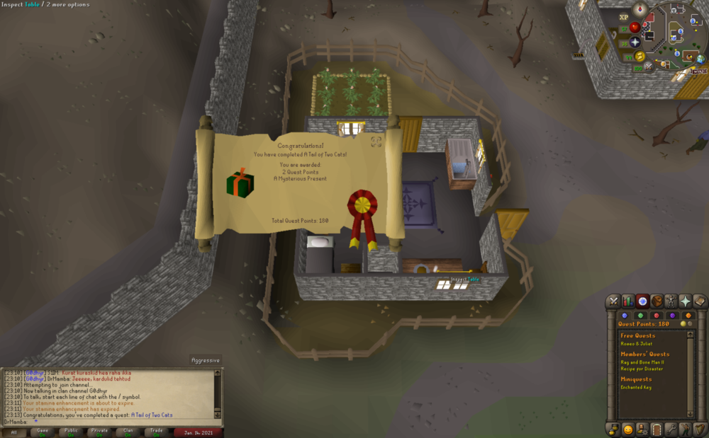 Quest(A Tail of Two Cats) 2021-01-14_23-13-37.png