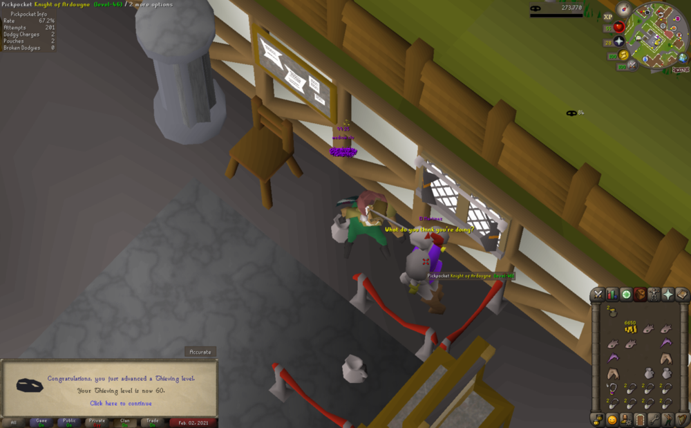 Thieving(60) 2021-02-02_18-37-24.png